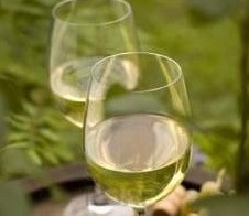 Lebanese Wines